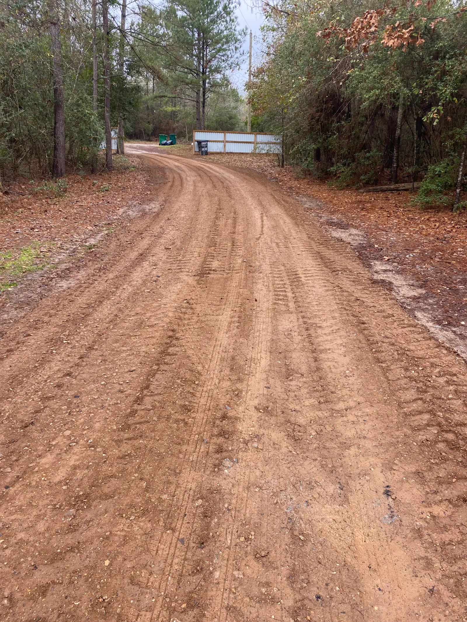 Freshly graded dirt driveway with compacted clay and gravel base through forested property
