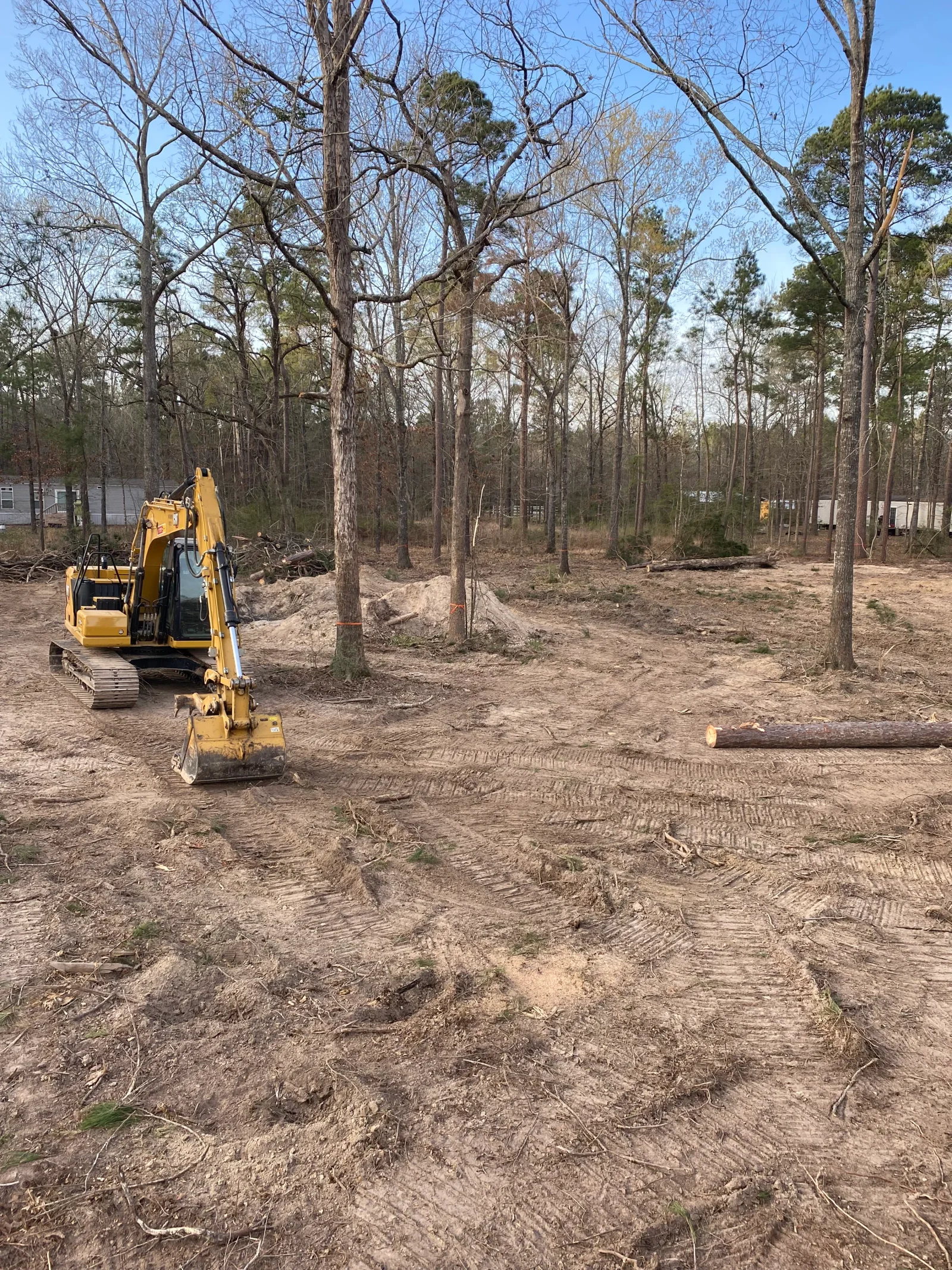 Compact excavator clearing wooded lot with removed logs and graded soil