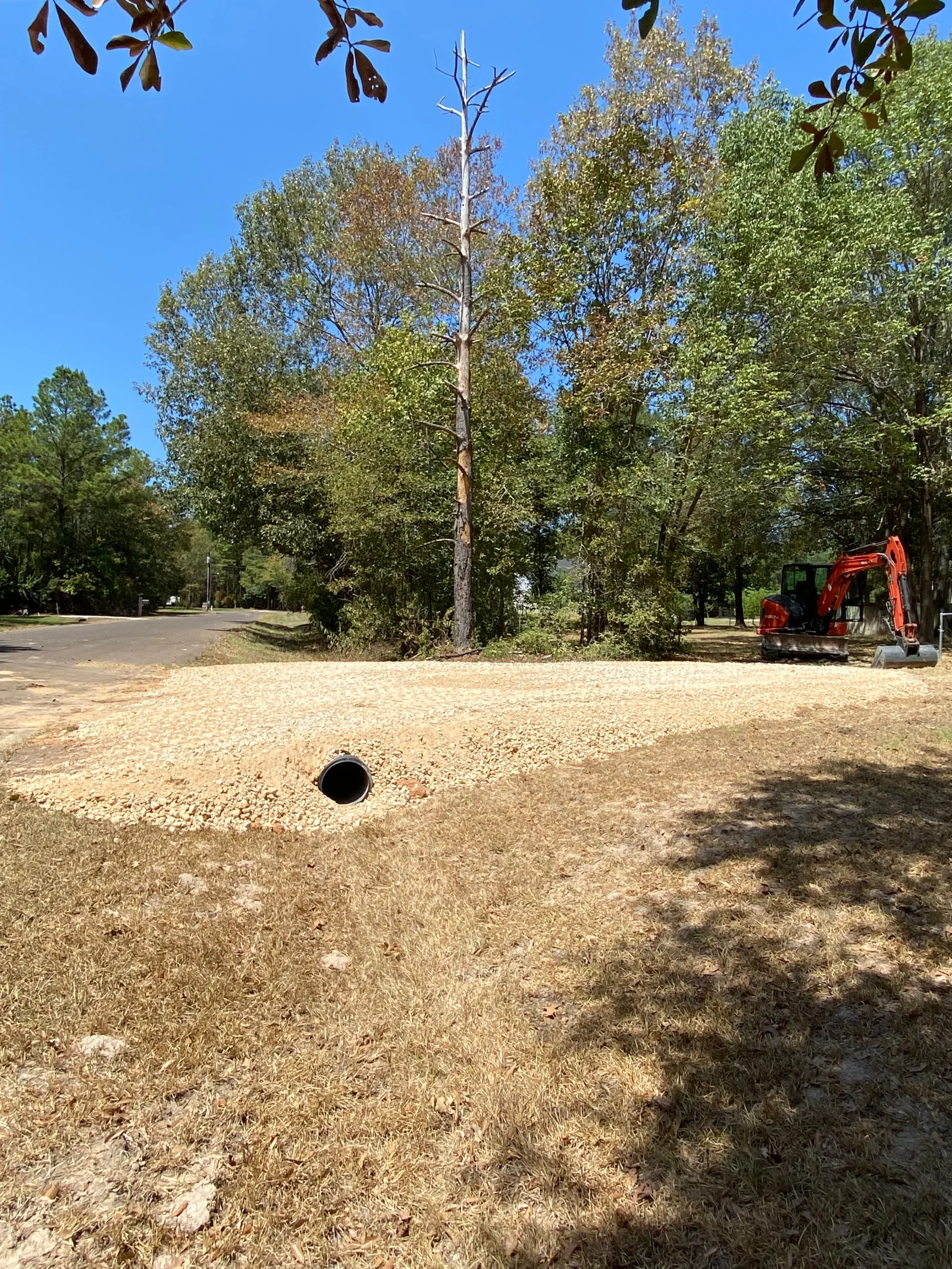 Dead tree removal with excavator on cleared gravel lot surrounded by mature trees