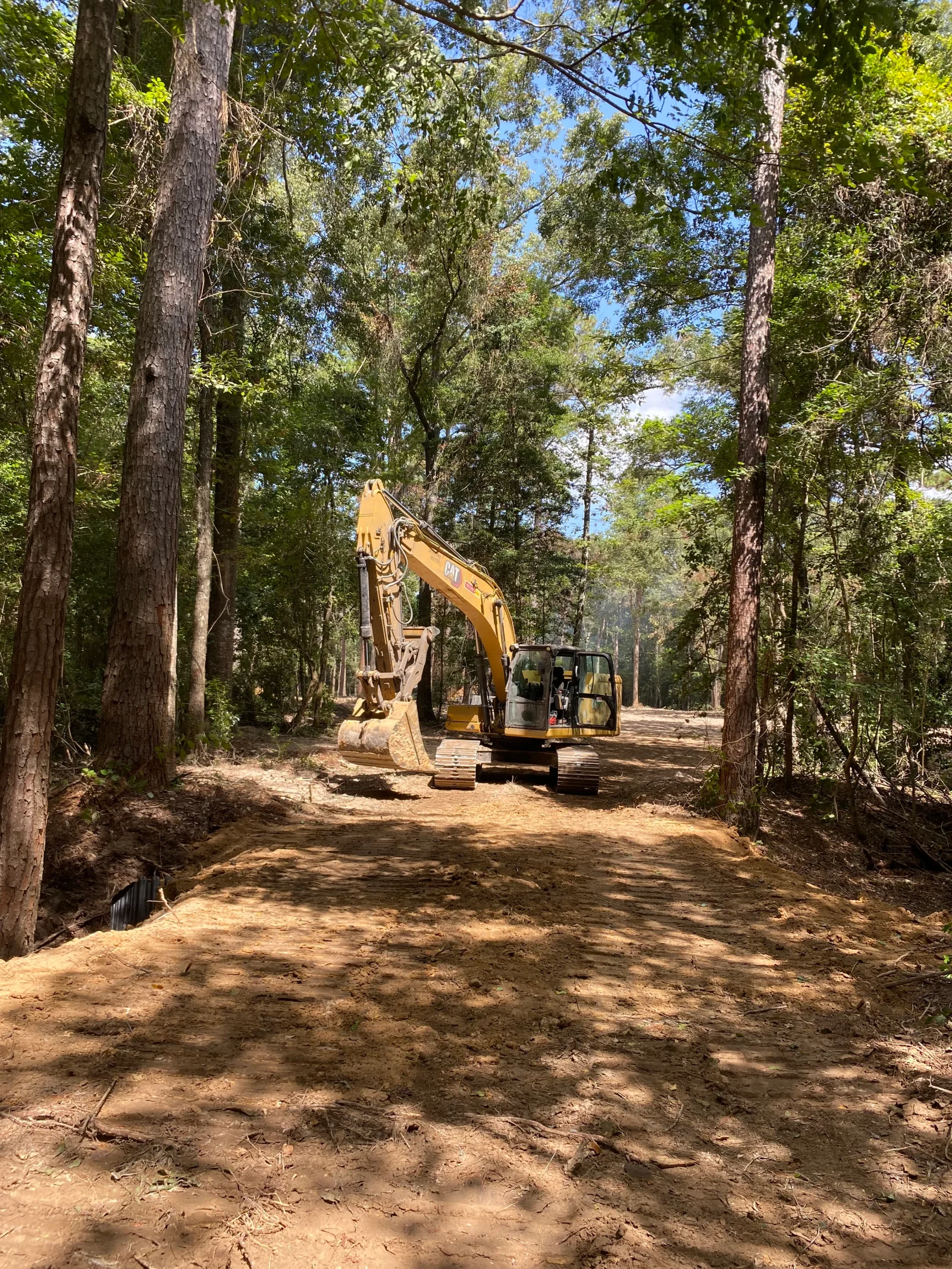 CAT excavator with bucket clearing forest road between tall trees, exposed soil base
