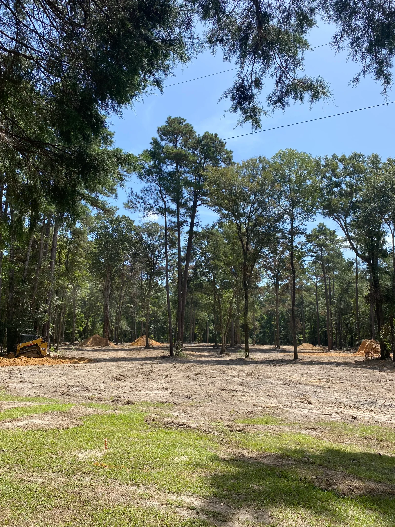 Cleared wooded lot with standing timber, wood debris piles, and skid steer loader on bare ground