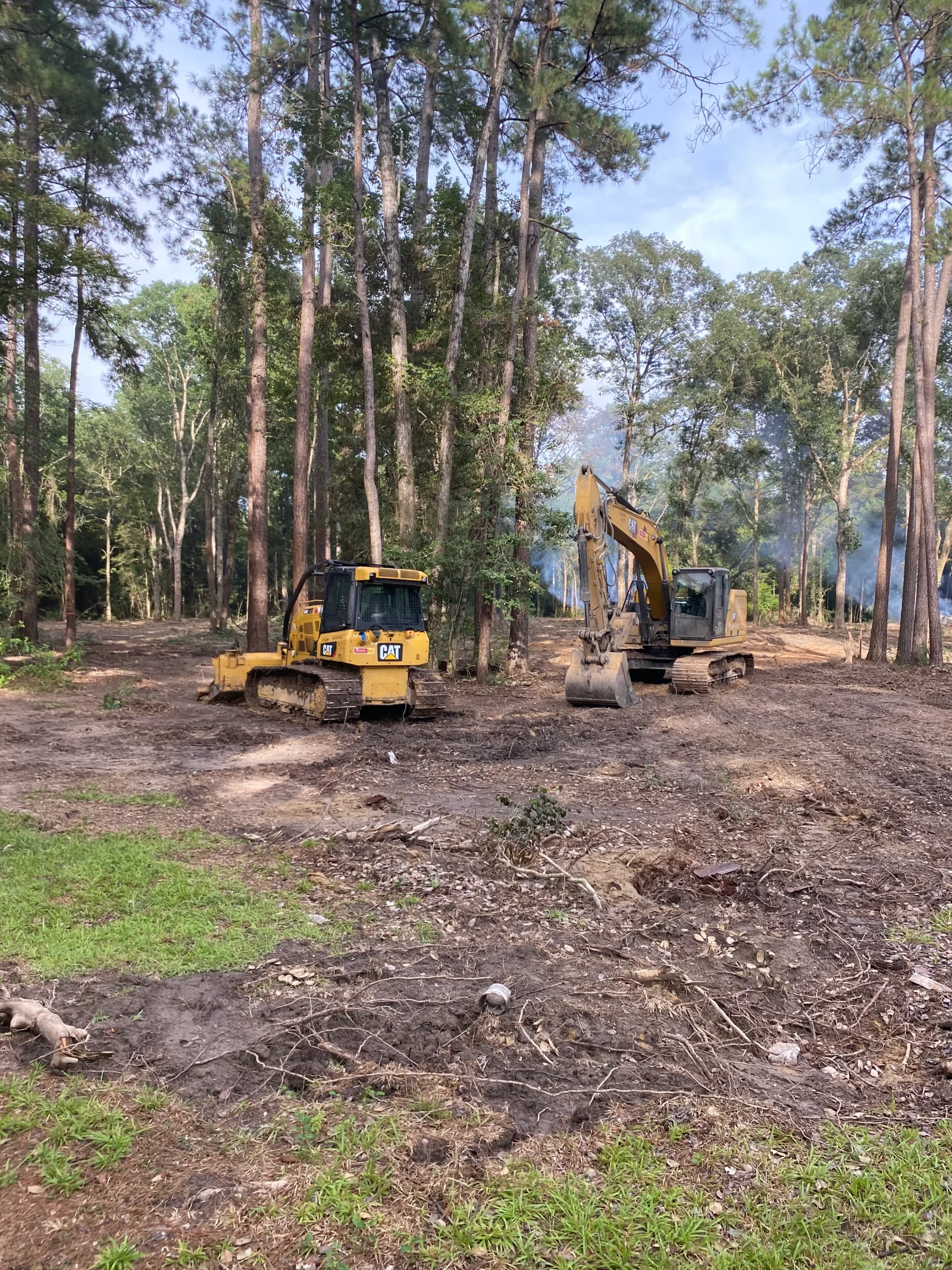 CAT bulldozer and excavator clearing forested land with tall pine trees