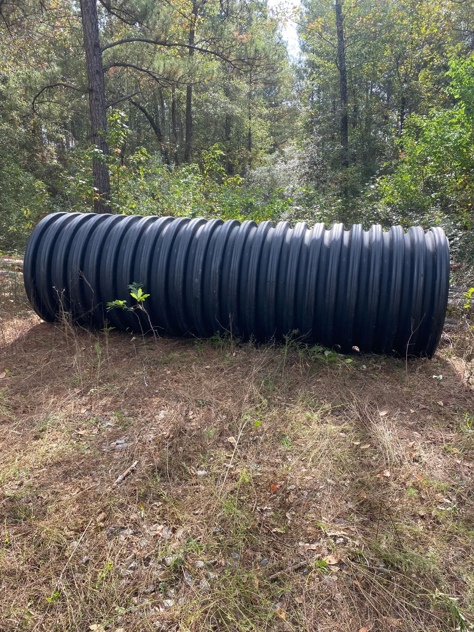 Black corrugated drainage pipe installed on forest floor with woodland backdrop