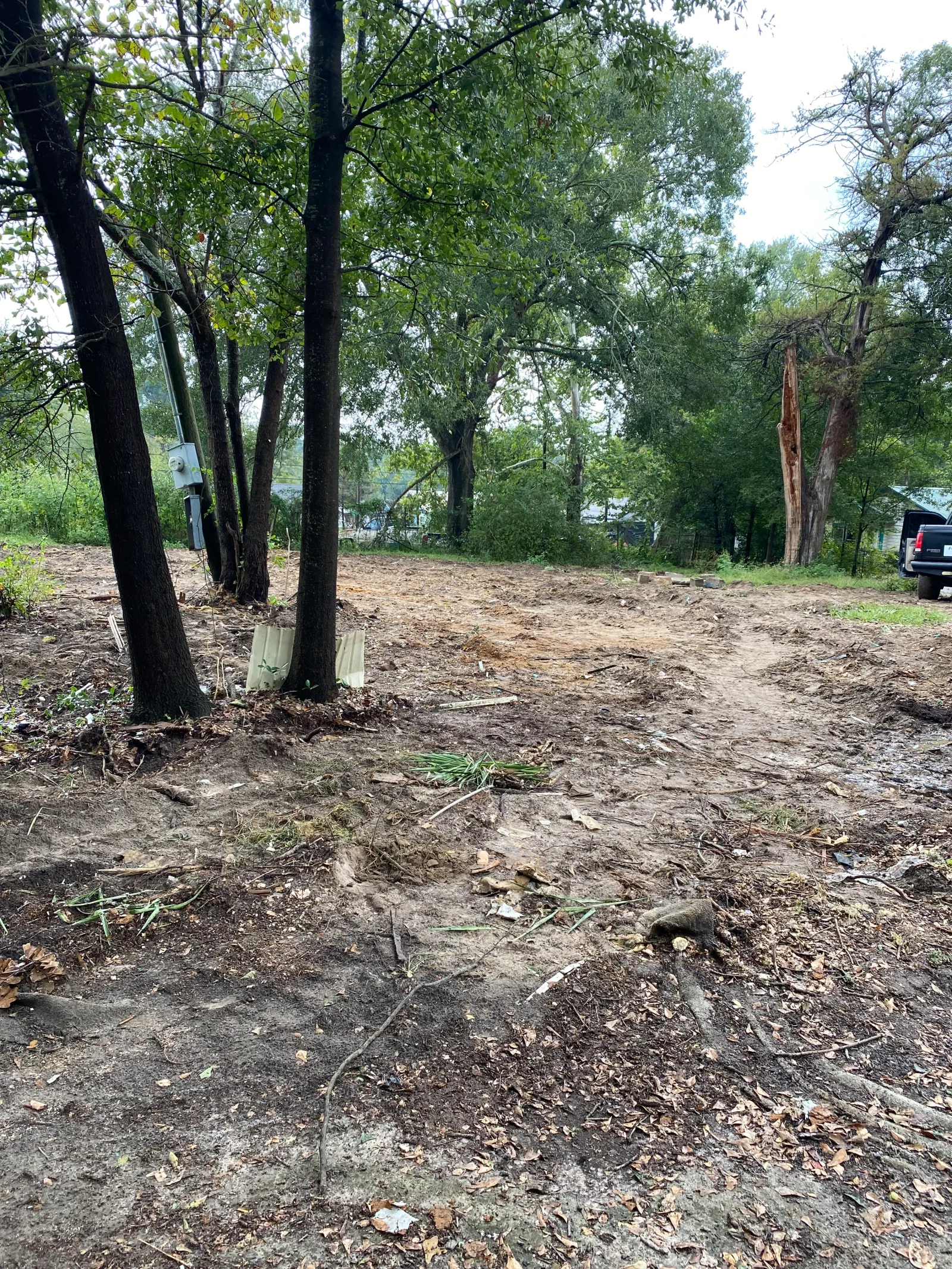 Cleared wooded lot with felled trees, exposed soil, and mature trees remaining on property