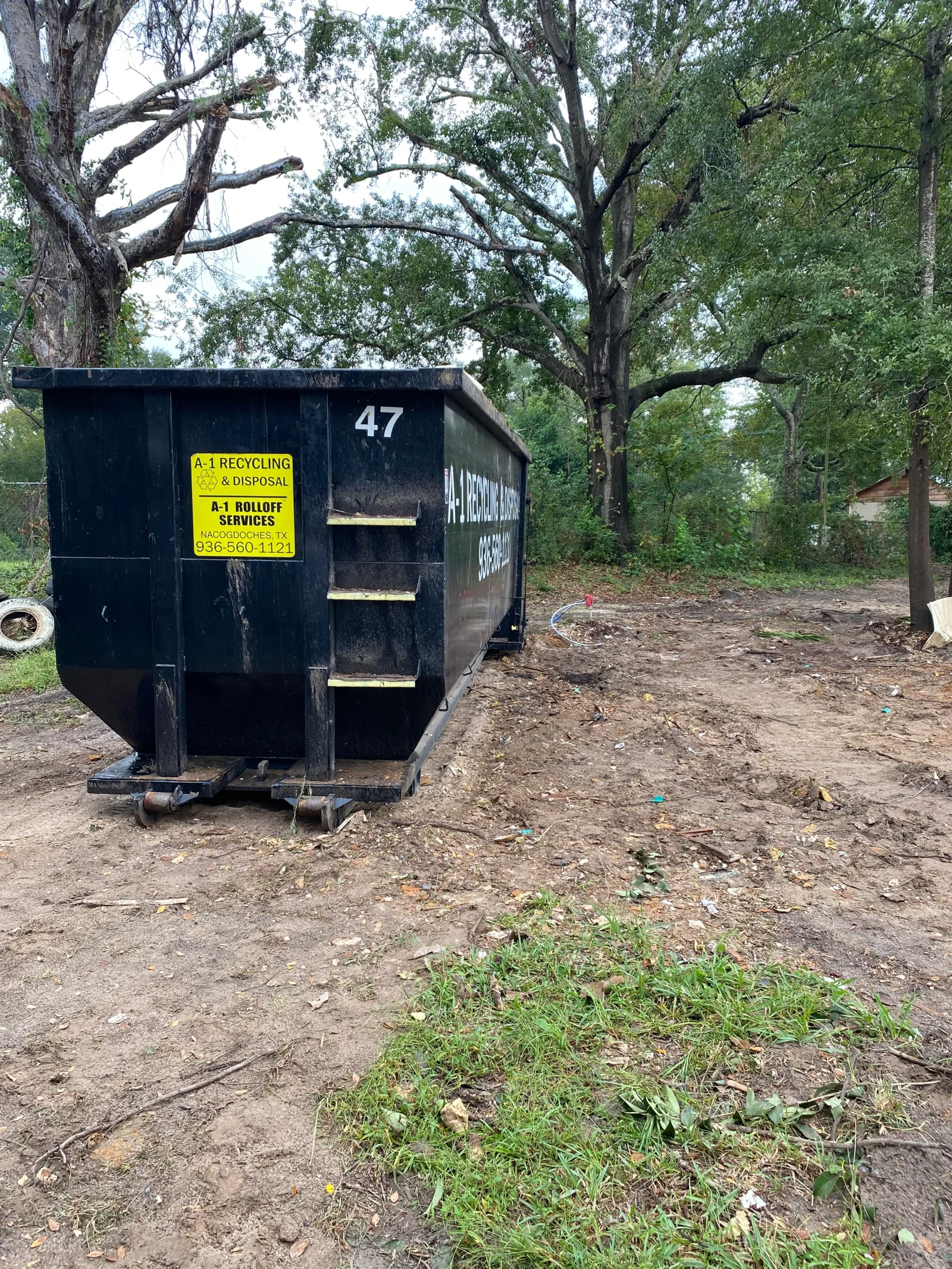 Black steel rolloff dumpster with yellow steps positioned on dirt ground beneath large oak trees
