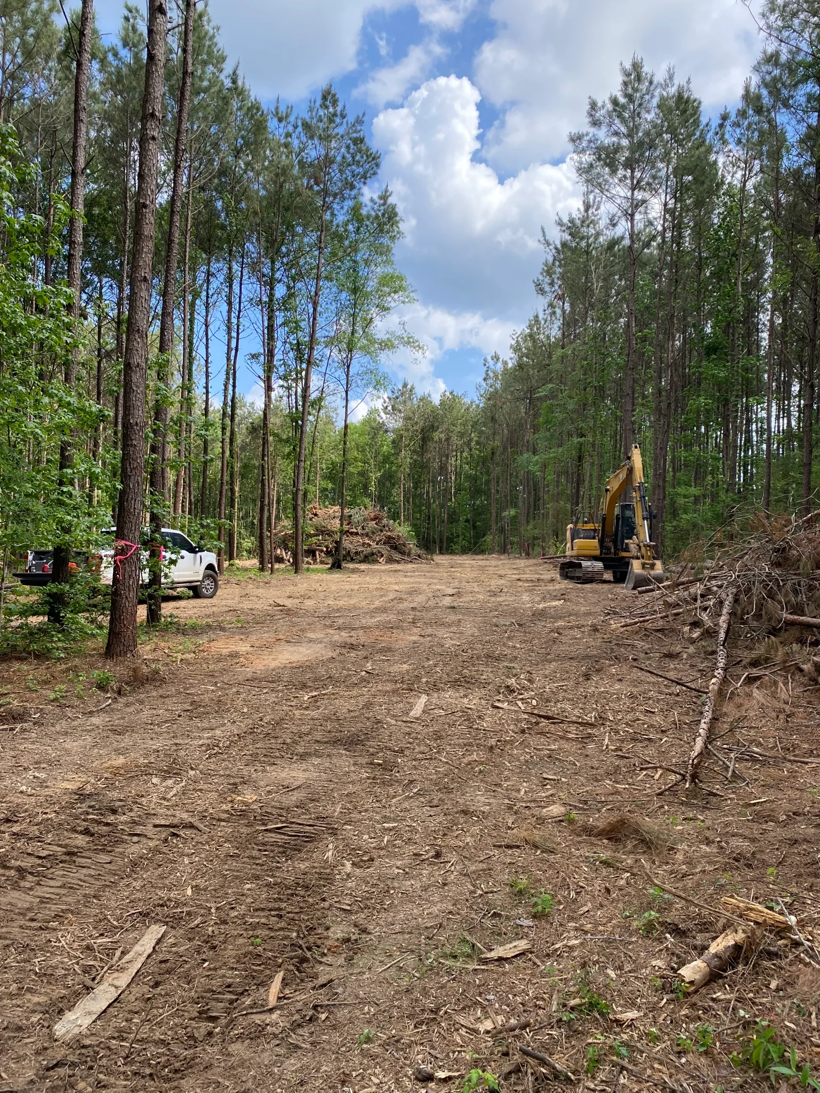 Excavator clearing fallen trees and debris from forested land with pine trees