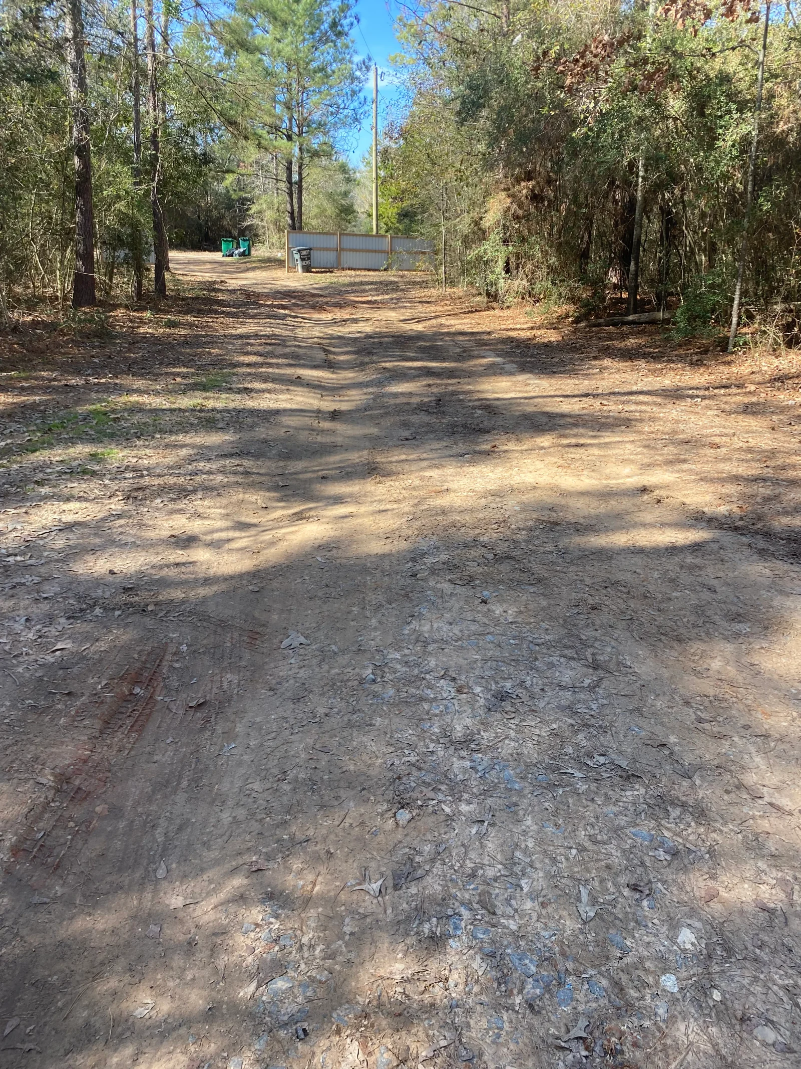 Graded dirt driveway through wooded area with cleared surface and standing trees